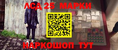 гидропоника Канаш