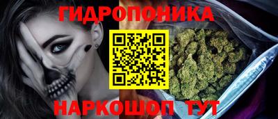 гидропоника Канаш