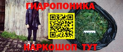 ешки Камышлов