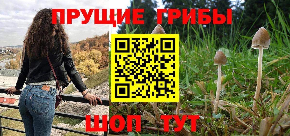 Галлюциногенные грибы Magic Shrooms Кропоткин