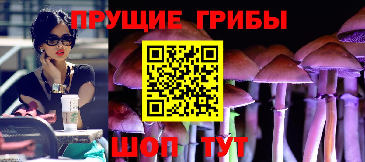 Галлюциногенные грибы мицелий  Галлюциногенные грибы Psilocybe  Кропоткин  как найти закладки  Вход с VPN 